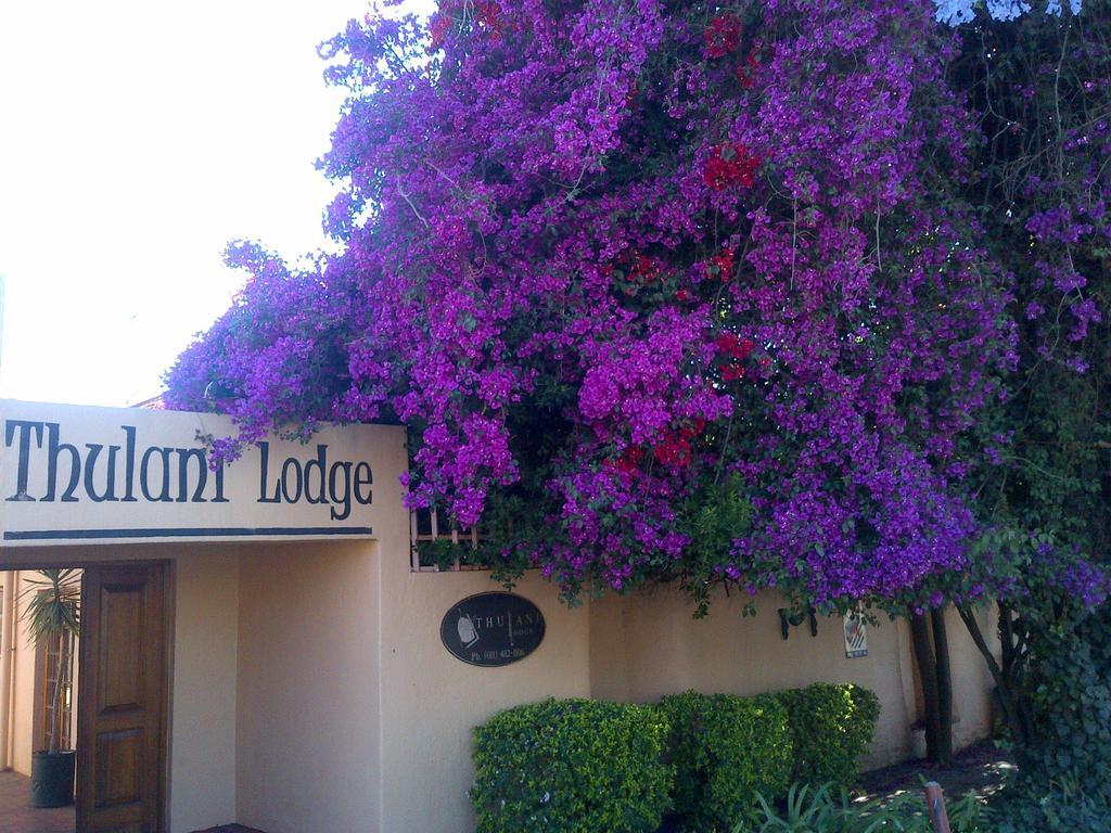 Thulani Lodge ヨハネスブルグ エクステリア 写真
